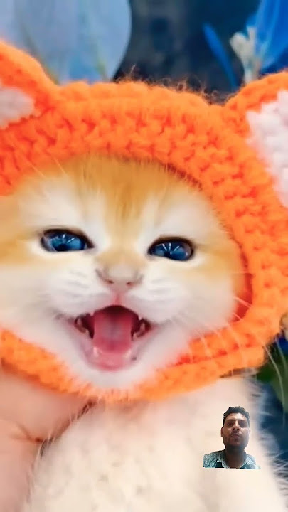 Bilal video tiktok# viral