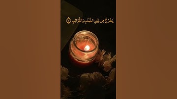 قران كريم يأخذك الى عالم اخر Quranماتيسر من سورة الطارق #foryou #اكسبلور #fypviralシviral #quran