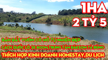 Bán 1ha Đất Sát Hồ View Đẹp,Trung Tâm Đăksom Tà Đùng,Giá 2,5 TỶ | BẤT ĐỘNG SẢN TÂY NGUYÊN