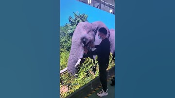 GOB module installation test of led display for anti-collision effect#shorts #leddisplay #eagerled