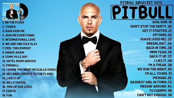 Pitbull Songs Playlist - The Best Of Pitbull - Pitbull Songs Greatest Hits Full Album