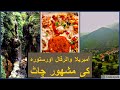 Umbrella waterfall  poona abbotabad l stora l jabri l noori waterfall l pir sohawa kpk