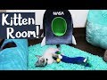 Making A Play Room for My Terminally-Ill Kitten