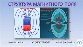 ЗАПИСЬ ВЕБИНАРА  на тему:  &quot;Магнетизм энергетики человека&quot;