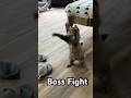 Boss Fight