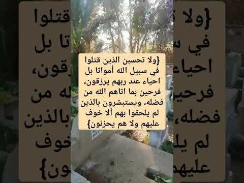 ولا تحسبن الذين قتلوا في سبيل الله أمواتا بل أحياء عند ربهم يرزقون