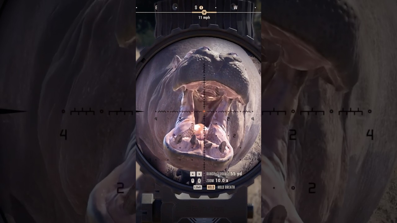 HIPPO ATTACK!!! Kilimaya Reserve in Way of the Hunter 2 #earlyaccess #woth2 #wayofthehunter