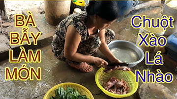 Bà bẫy làm món chuột xào lá nhào ( minh tv)