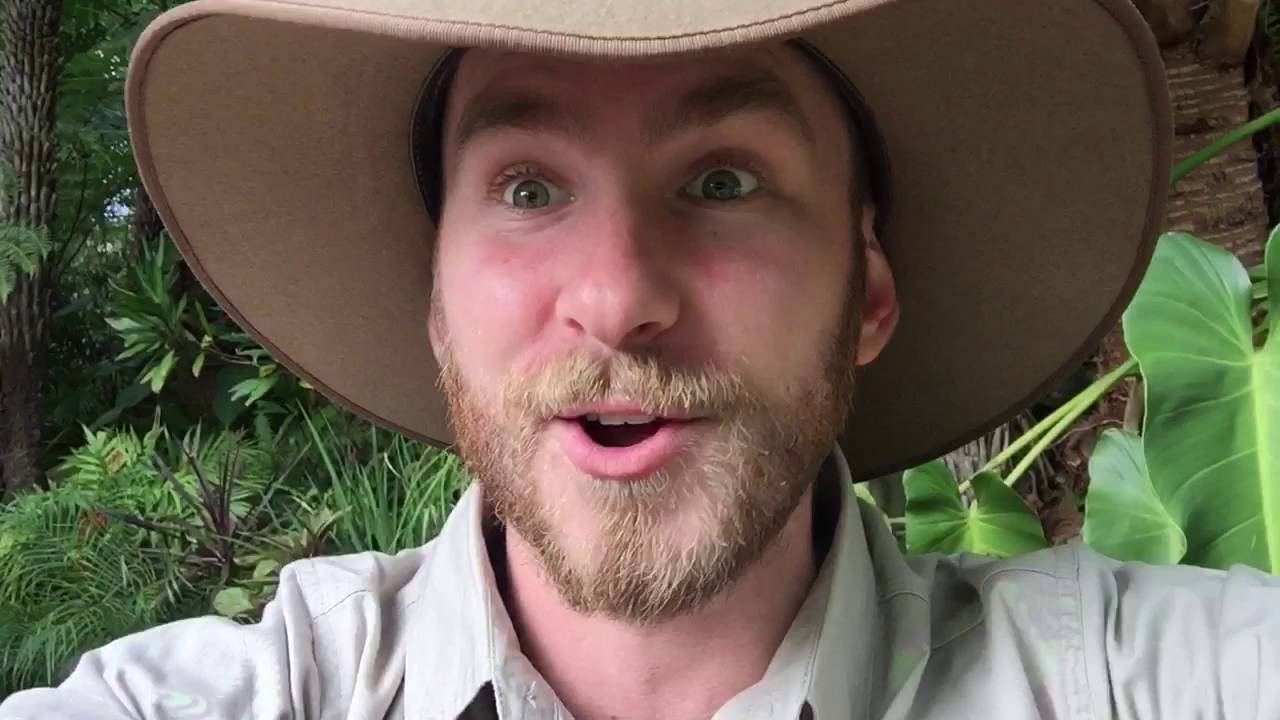 australia แปลว่า Why do birds sing so early in the morning with Ranger Jamie