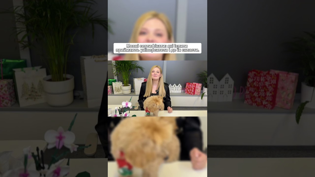 Мовні сертифікати для вступу у польські ВНЗ: які іспити приймають та де їх скласти?