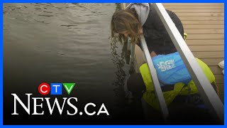 Edmonton elementary students release trout into local pond