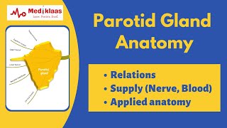 Parotid gland Anatomy I Relations, blood supply, applied anatomy I Mediklaas by Mediklaas 2,401 views 11 months ago 15 minutes