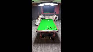 🐱Welcome To My Live Stream 2026-08-24