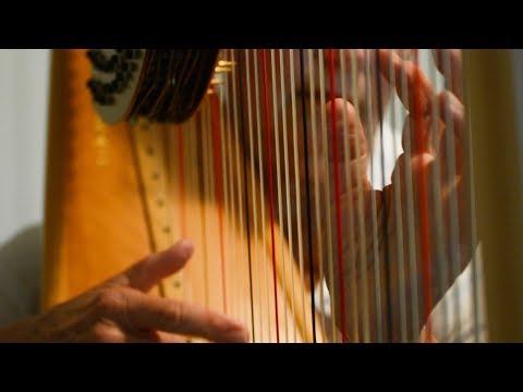 interesting-instruments-—-the-harp