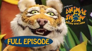 Animal Show | Tiger 🐯 / Tiger Beetle | Jim Henson Family Hub | Kids Cartoon