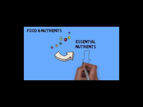 Video: What Is Nutrition