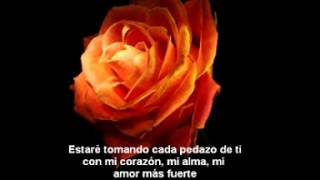 One Ok Rock-Rose Blood Sub Español