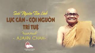 05. Lục Căn - Cội Nguồn Trí Tuệ | Suối Nguồn Tâm Linh - Thiền Sư Ajahn Chah