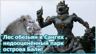 Лес обезьян в Сангех - недооцененный парк острова Бали! [№128]