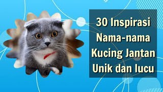 Nama-nama Kucing Jantan Unik, Lucu dan Kekinian