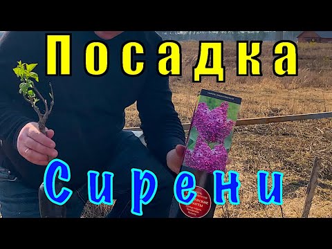 Видео: Как улучшить почву (с изображениями)