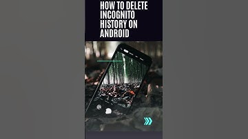 How to delete incognito history on Android // Clear host cache