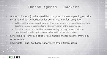 Threats and Threat Agents (CISSP Free by Skillset.com)