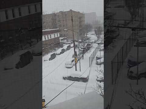Weather Bronx 10462