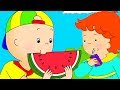 Caillou trke  caillou ve piknik  kayu cizgi filmi  yeni  caillou turkish