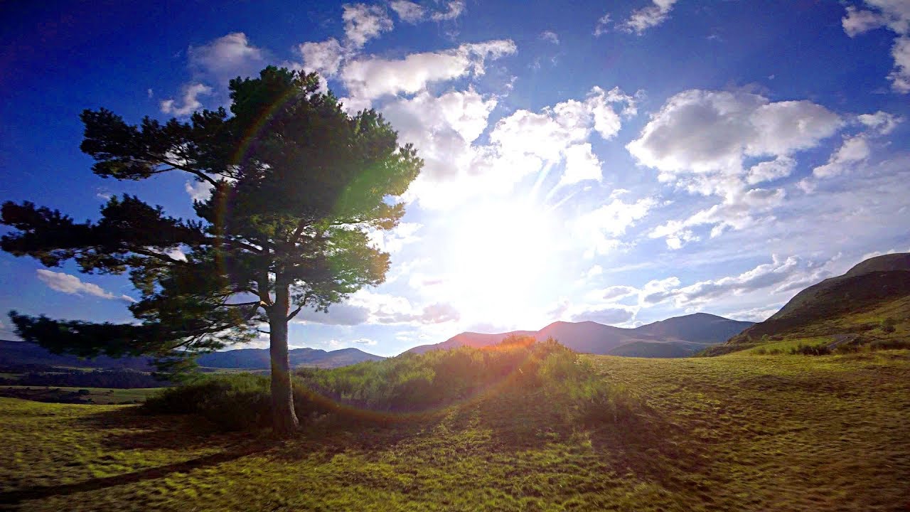 FPV - For the peace of mind