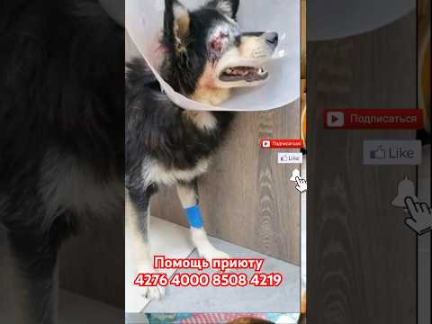 ЭТО СМЕРТИ ПОДОБНО😱😱