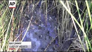 Judge Hears Claims BP Lied About Oil Spill