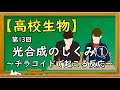 高校生物【第13回 光合成のしくみ➀~チラコイドで起こる反応~】オンラインで高校授業