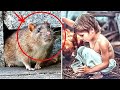 The guy fed a wild rat in secret from his father, and after a while the rat saved their lives