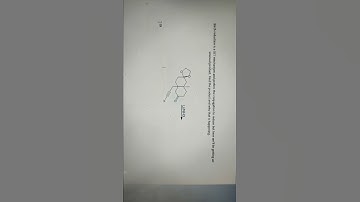 Question of the day | Unusual birch reduction