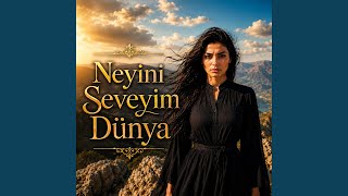 Neyini Seveyim Dünya
