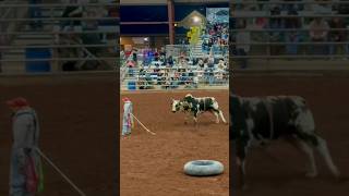 Mess With The Bull, You Gonna Get The Horns