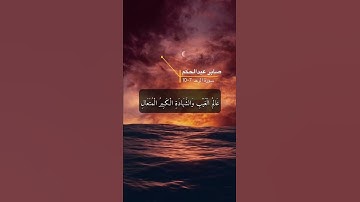 سورة الرعد الآية 7-10