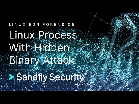 Linux Process Running with Hidden Binary Name Attack