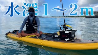 STUMP 5’0 catch surf（湘南エリア手渡しのみ） STUMP 5'0 catch surf（湘南エリア手渡しのみ）（2025年最新