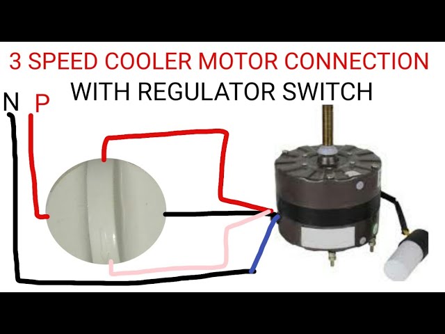 small cooler motor price