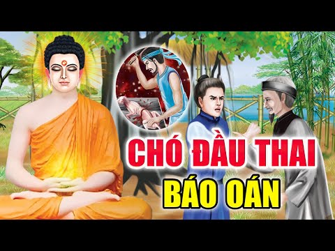 Video: Làm thế nào để loại bỏ một đánh dấu từ mí mắt của một con chó