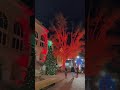 Explore Bentonville during the holiday season