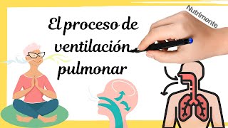 El proceso de la VENTILACIÓN PULMONAR