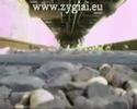 Video: Traukinys Ne Pagal Grafiką - Alternatyvus Vaizdas