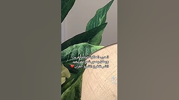 القران الكريم / استغفر الله العظيم واتوب اليه