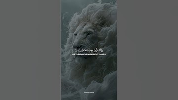 Surah Al-Mutaffifin 29-36 | سورة المطففين | Sheikh Yasser Al Dossary | الشيخ ياسر الدوسري
