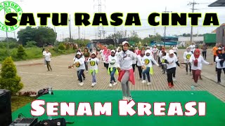 SATU RASA CINTA (DJ REMIX)//SENAM KREASI//TIK TOK VIRAL TERBARU//KOREO MUDAH//BY LIA BIG STORM