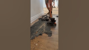 NASTY carpet removal!