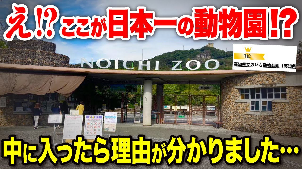 【高知観光】高知にある二連続１位に輝いた動物園が衝撃的な面白さでした…！